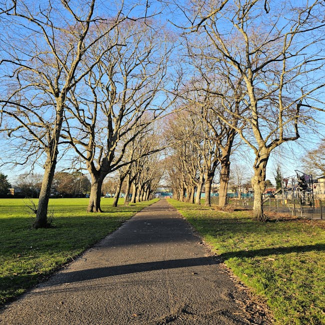 A narrow residential street with a paved sidewalk shaded by tall, leafless trees casting shadows on the ground. To the right, a high wooden fence runs along the length of the pavement, with a few stac